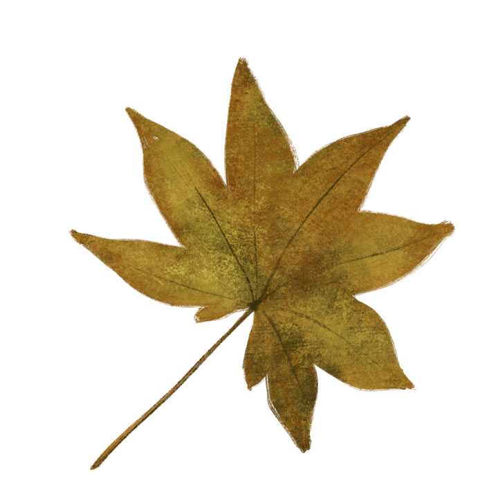 Autumn leaf.